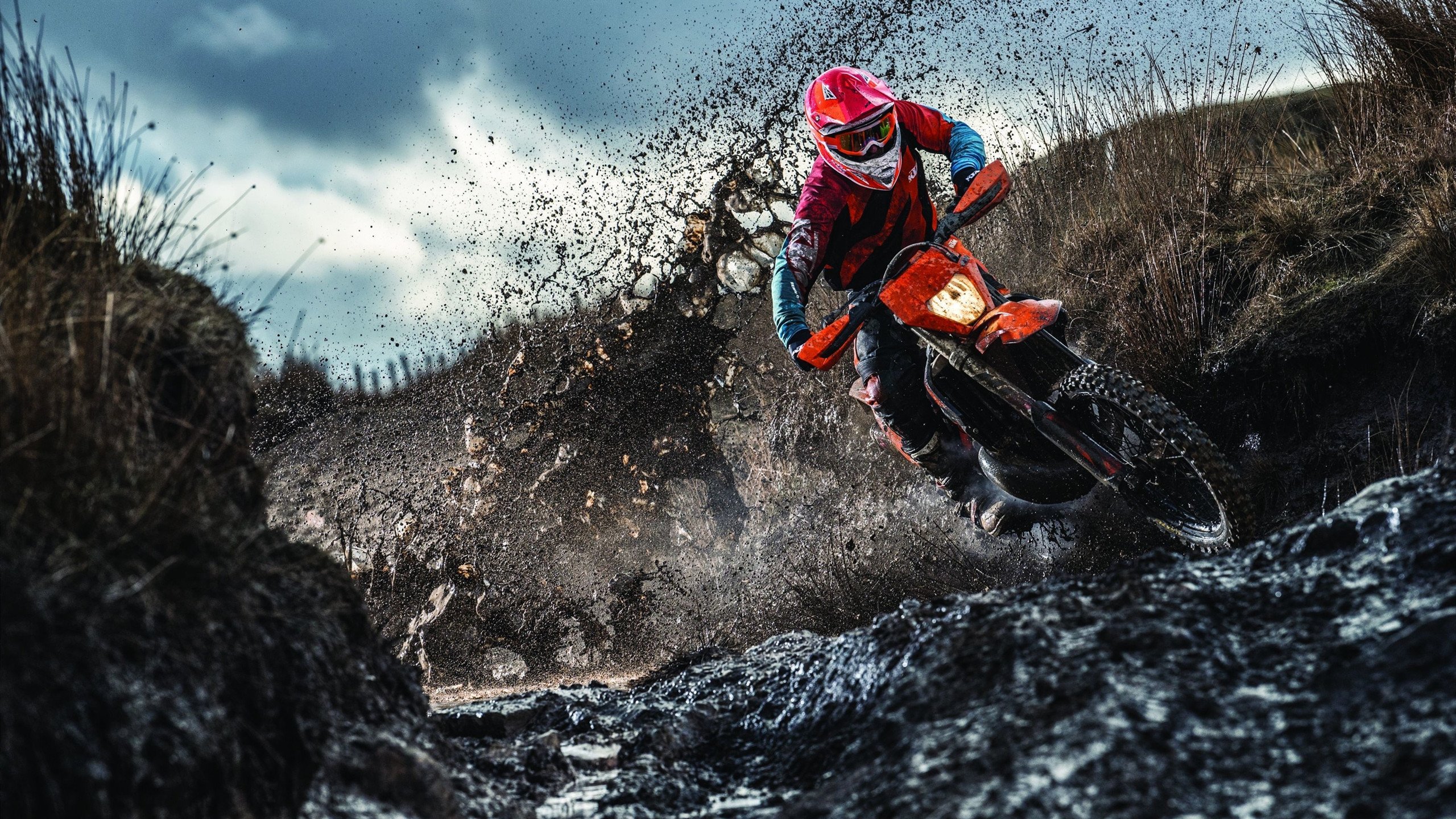 综合体育系综合对抗赛开赛 田径球类项目同日打响